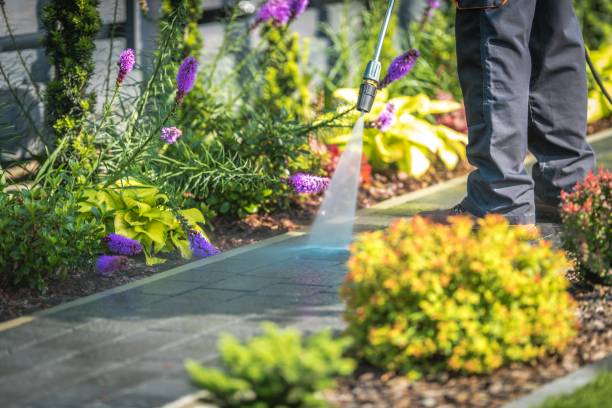 Best Pre-Holiday Cleaning  in Claremont, CA
